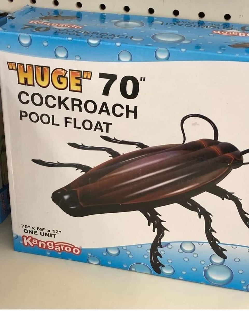 Rush_Arcade's tweet image. I just really want @MataraKan to know this exists. 🤷‍♂️🪳