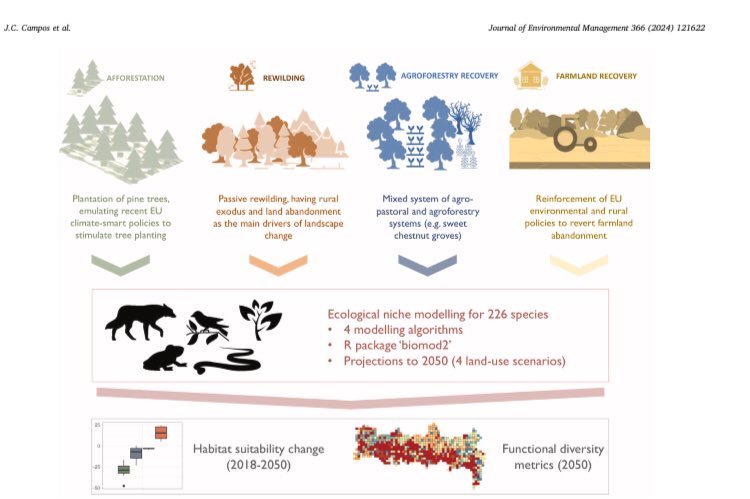 AdrianRegosSanz's tweet photo. New paper out! ‘Dynamic shifts of functional diversity through climate-smart strategies and farmland restoration in a mountain protected area’ led by @Campos_JCC et al. @SalAreCas @neftali_sillero https://t.co/HRLScLUQ3f https://t.co/Mqs31KeGW8
