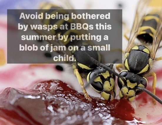 adtothebone's tweet image. Avoid being bothered by wasps at BBQs this summer by putting a blob of jam on a small child. #sourceunknown