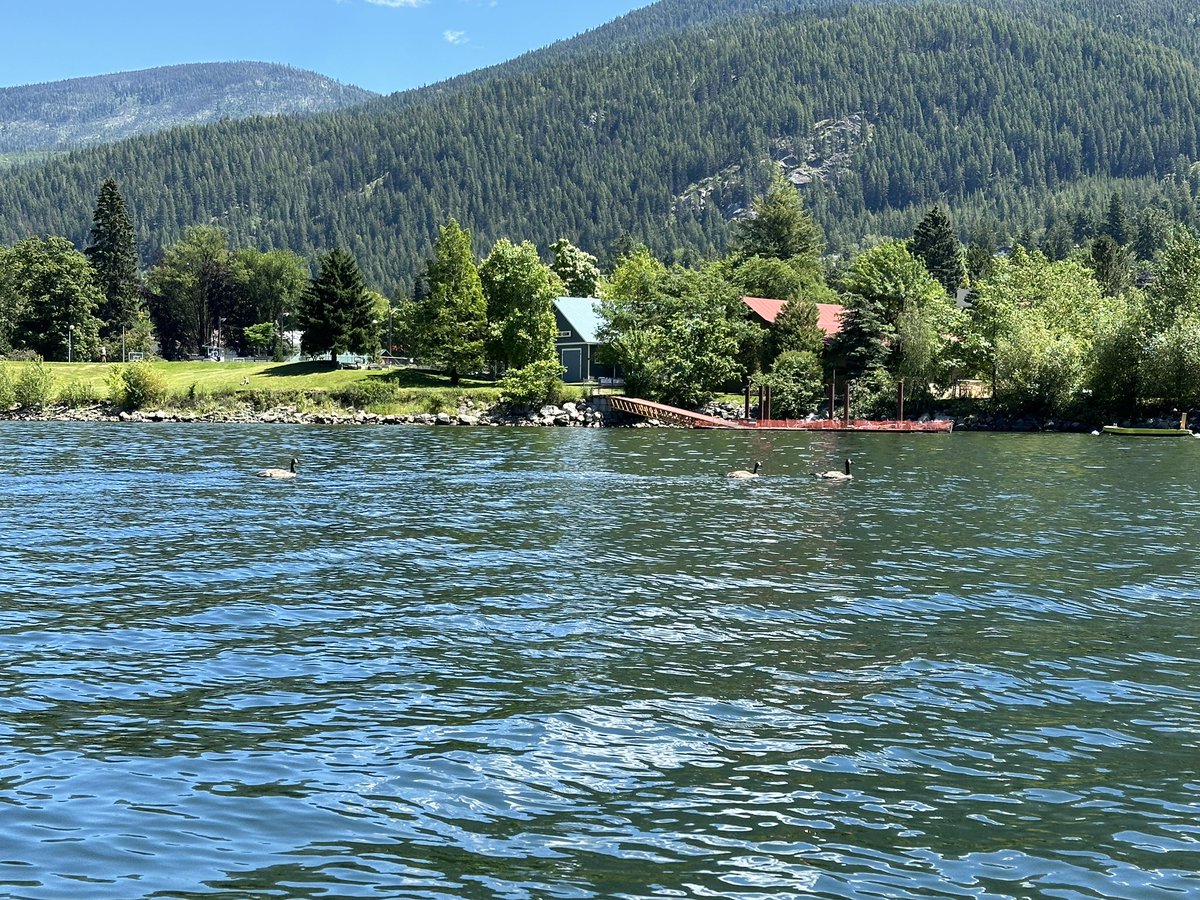 Went paddle boarding today in Nelson BC. Found my sea legs again and bravely stood up half the time. It’s a cold glacier lake so glad I didn’t fall in. #summerfun