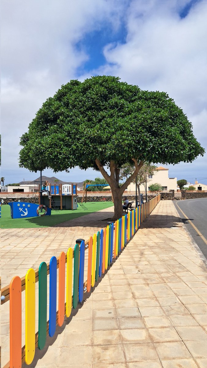 StopArboricidio's tweet photo. Pues parece que se puede poder sombra arbórea en los PARQUES INFANTILES y no pasa nada... entonces ¿Por qué insiste @lpaurbanismo en poner PÉRGOLAS en vez de PLANTAR ÁRBOLES?
#TresPerCent (3%)
#MásÁrbolesUrbanos @MauricioRoq @CarolinaDarias https://t.co/YpfpaA4UgY