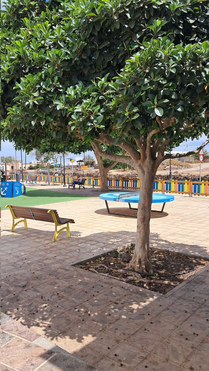 StopArboricidio's tweet photo. Pues parece que se puede poder sombra arbórea en los PARQUES INFANTILES y no pasa nada... entonces ¿Por qué insiste @lpaurbanismo en poner PÉRGOLAS en vez de PLANTAR ÁRBOLES?
#TresPerCent (3%)
#MásÁrbolesUrbanos @MauricioRoq @CarolinaDarias https://t.co/YpfpaA4UgY