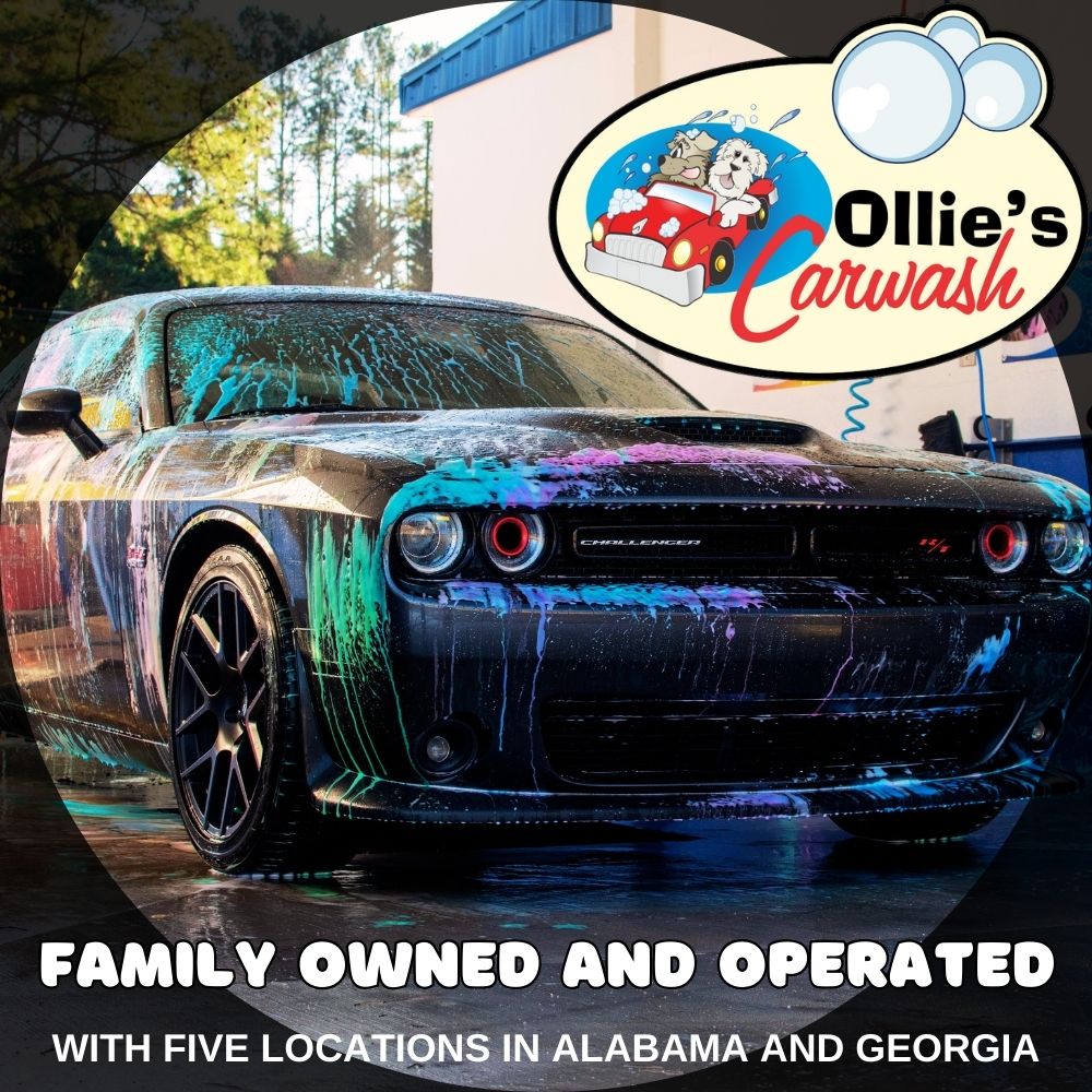 NewLevelPro tweet media