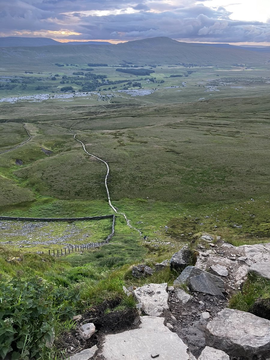 Rachel Hewitt tweet media