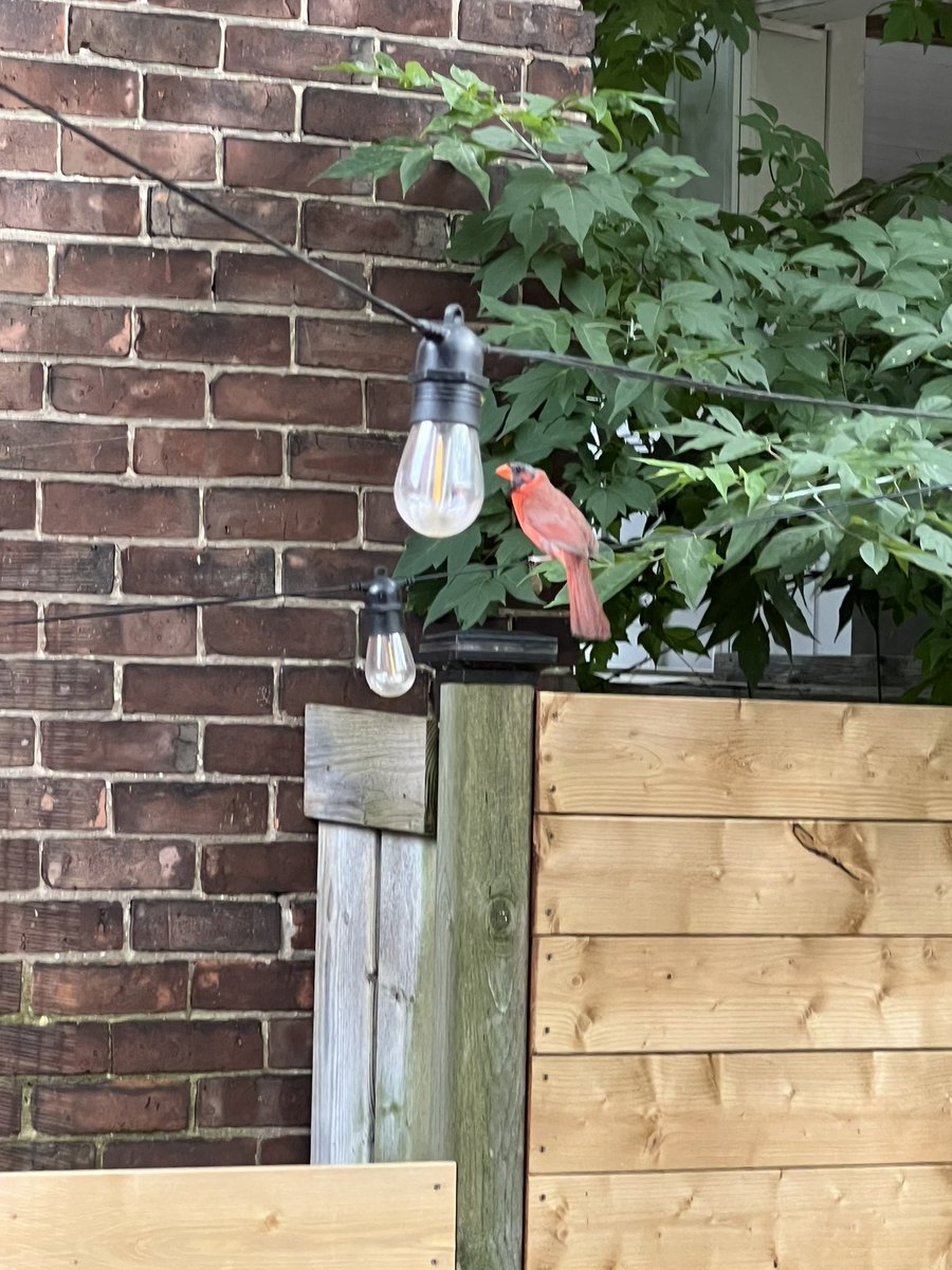 Lisa Kirbie tweet media