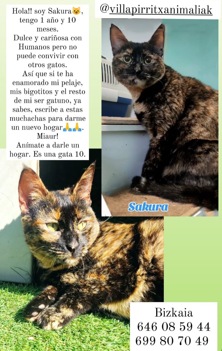 💚💚💚💚💚💚💚💚💚💚💚