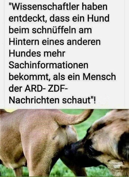 NEUE WISSENSCHAFTLICHE ERKENNTNIS: