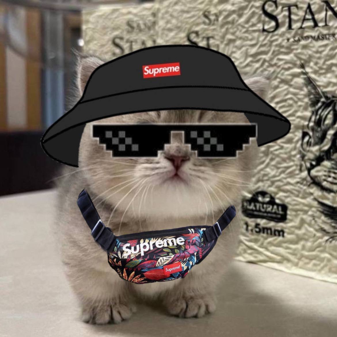 $MIU is a lifestyle

lead by the strongest CTO team out there 🚀

#1000x #solana #meme #cat #miu