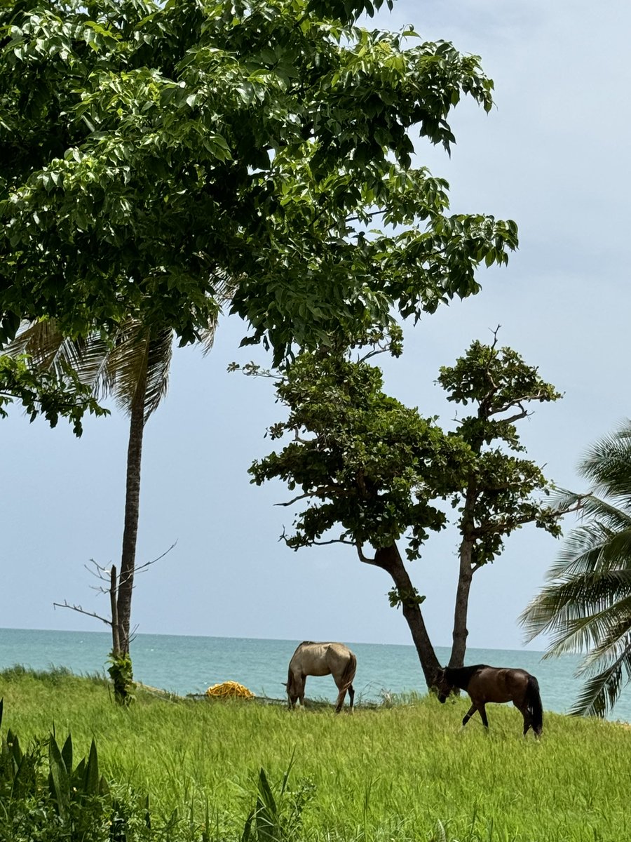 BHAREBOY's tweet photo. some of my recent traveling https://t.co/XVIo9ca8dC