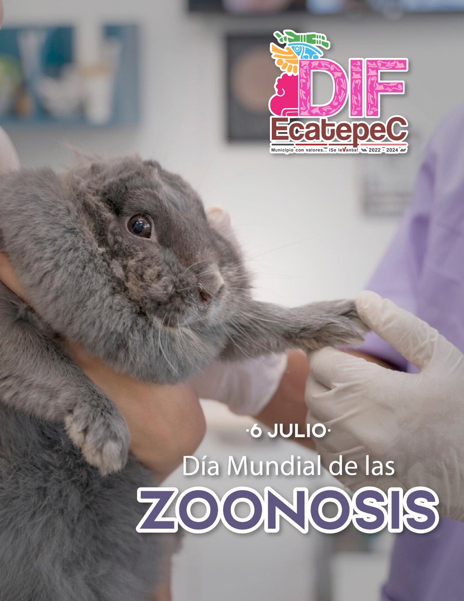 SMDIFEcatepec tweet media