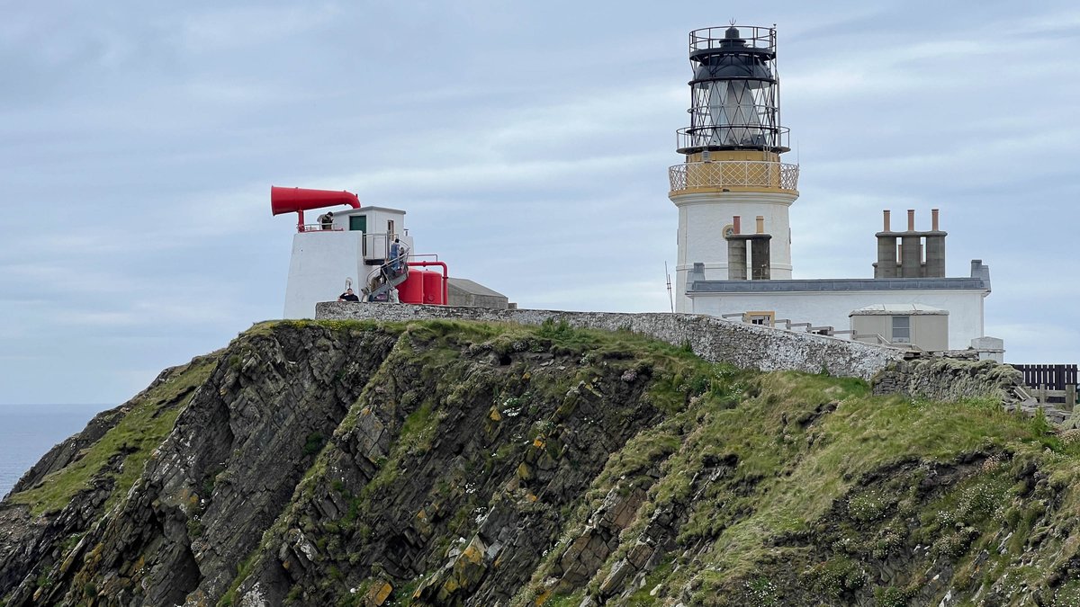 rossmackenzie's tweet photo. Saturday afternoon at @SumburghHead #Shetland #Puffins #Razorbills https://t.co/RfKYfWddcI