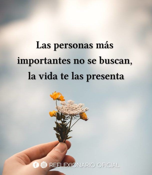 Dr_Blazquez's tweet photo. Nota del día vía @carla_ponti https://t.co/PLk7clhR1D