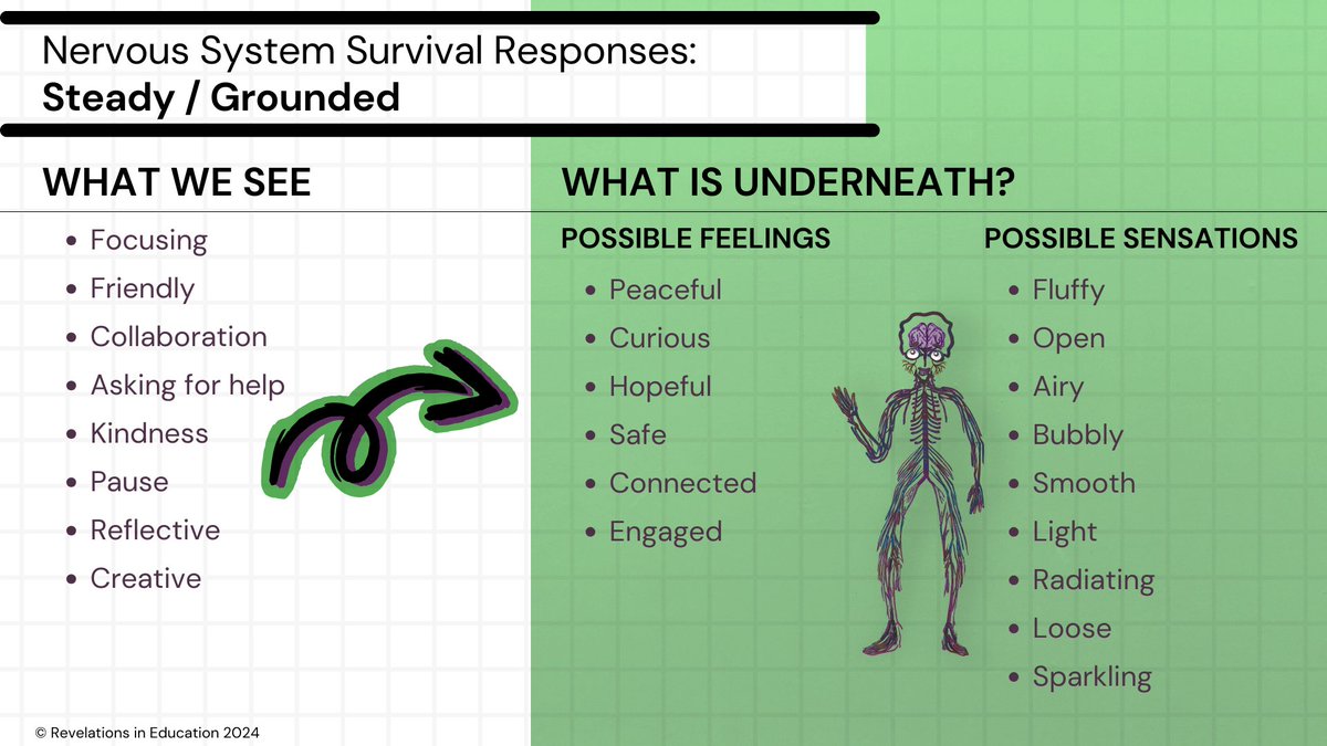 What lives under our behaviors? We are no different than our children and youth! We have feelings and sensations! Our stress behaviors matter and look different in fight/ flight and shut down!   What do you experience when you are feeling or sensing safety and engagement?