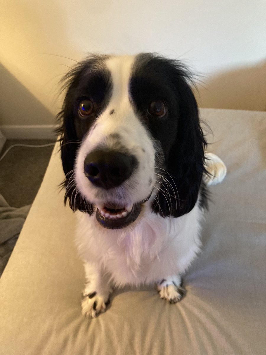 Someone is happy that I’m home! 🥰