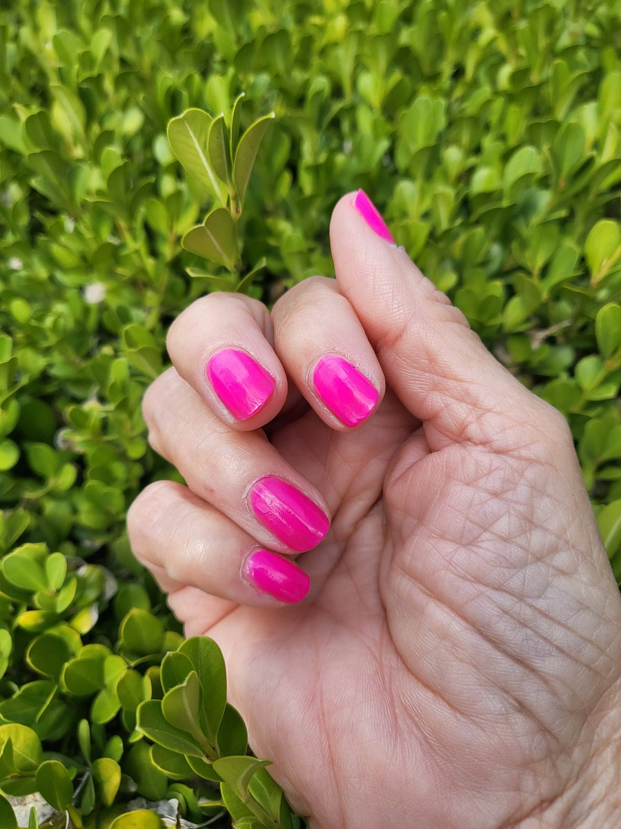 TexSun48's tweet photo. I love this pink 💗 💓 💕 💖
#nailsaddict #saturdayfun https://t.co/vCFkSPNnt5