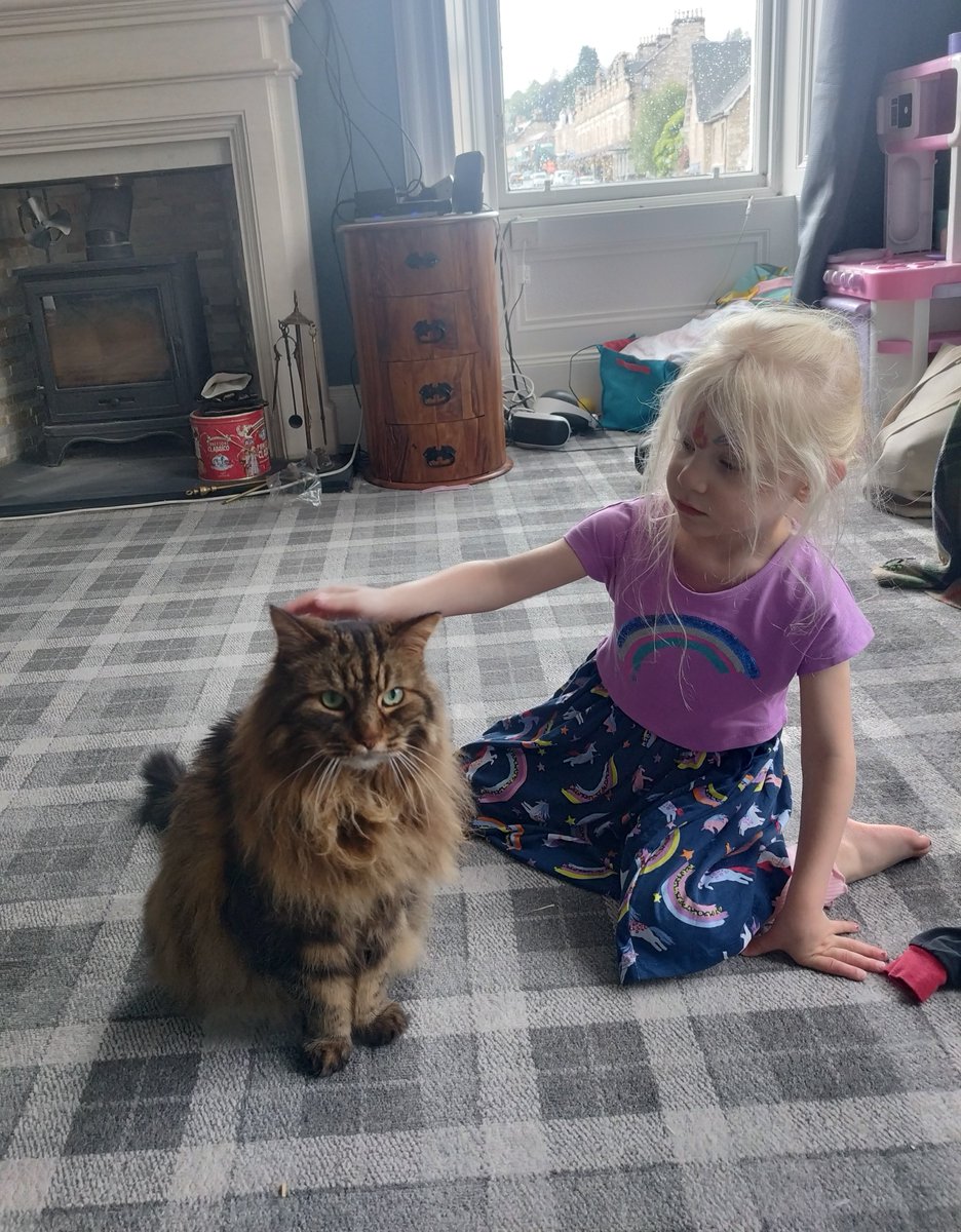 Hanu the Cat tweet media