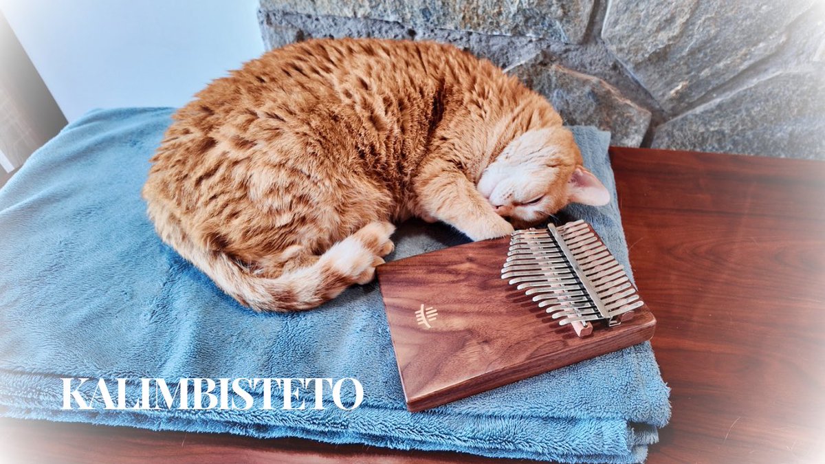 Kalimbisteto's tweet photo. 今回も猫がカリンバの音色を聴きながら居眠りをしてました🐱💤引用先のポストのリンクからご覧ください😊
#いつか王子様が #白雪姫 #ディズニー
プロモコード KALIMBISTETO をご利用いただければ #カリンバ や #タングドラム など全てのHluruの楽器が10%OFFになります⤵️
https://t.co/SY1HWEmzBV https://t.co/RdKptKGQnm