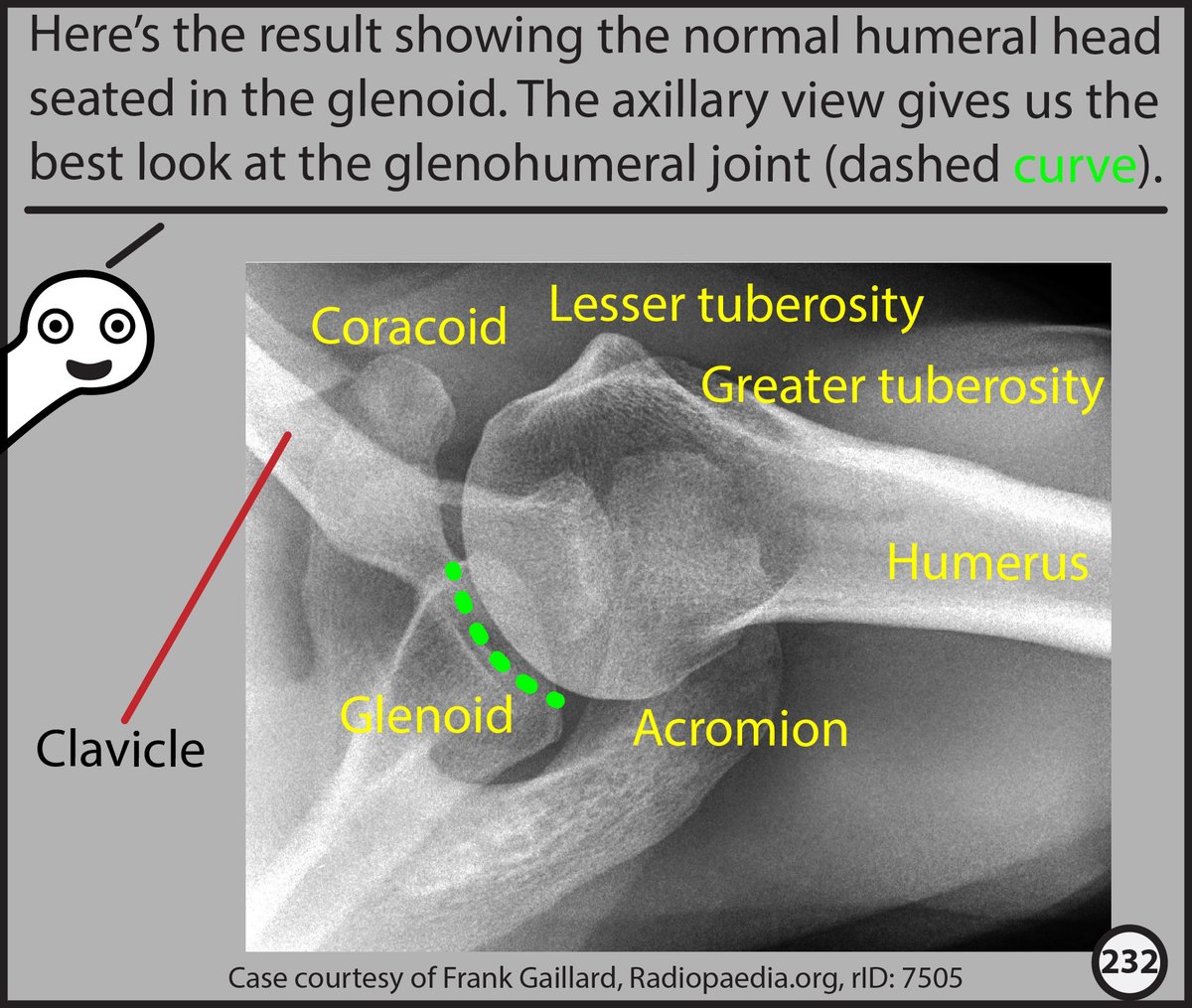 Stefan Tigges tweet media