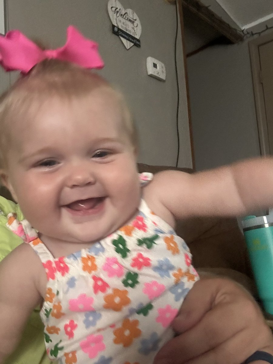 yurfatman's tweet photo. @0hmymandy Bella says do it https://t.co/jOIAPKIOiU