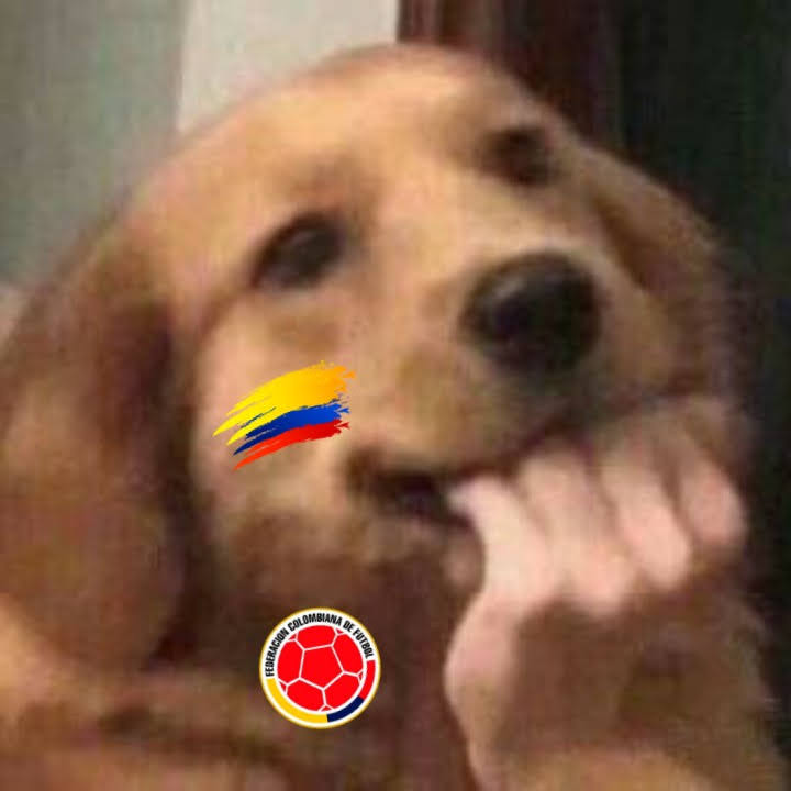 Gracias caracol por enfocarme tanto a Richard Ríos 
Estoy así