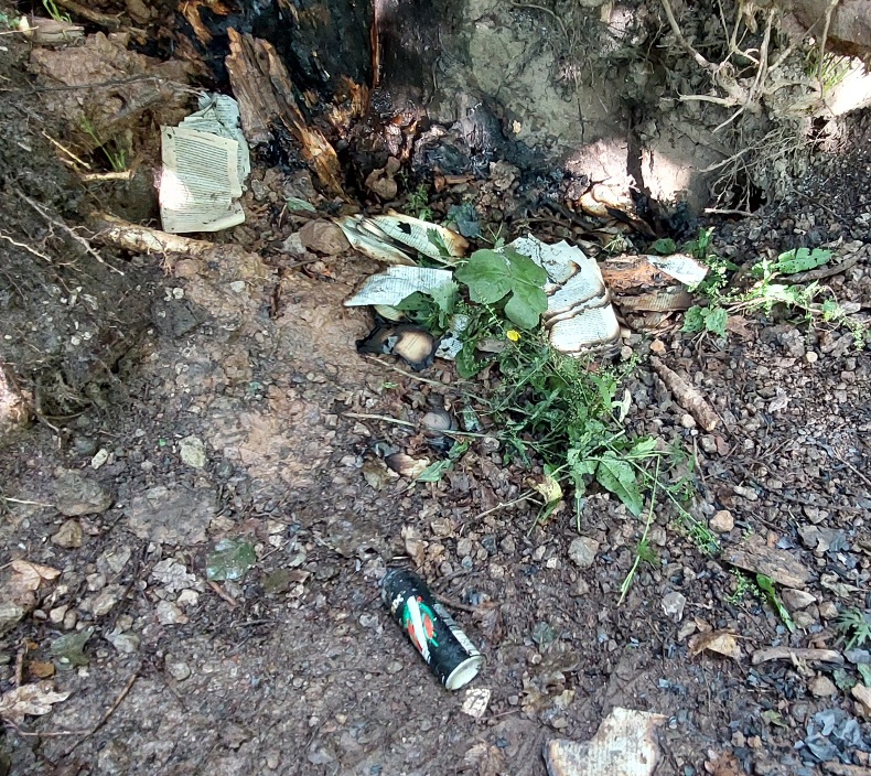 Youths attempted to set fire to a tree stump using paper &amp; an aerosol at Lymm Dam. Blue Watch attended &amp; from turn out to finish, spent 45 minutes dealing with the incident which meant our Appliance wasn't available for more serious incidents where lives could be in danger