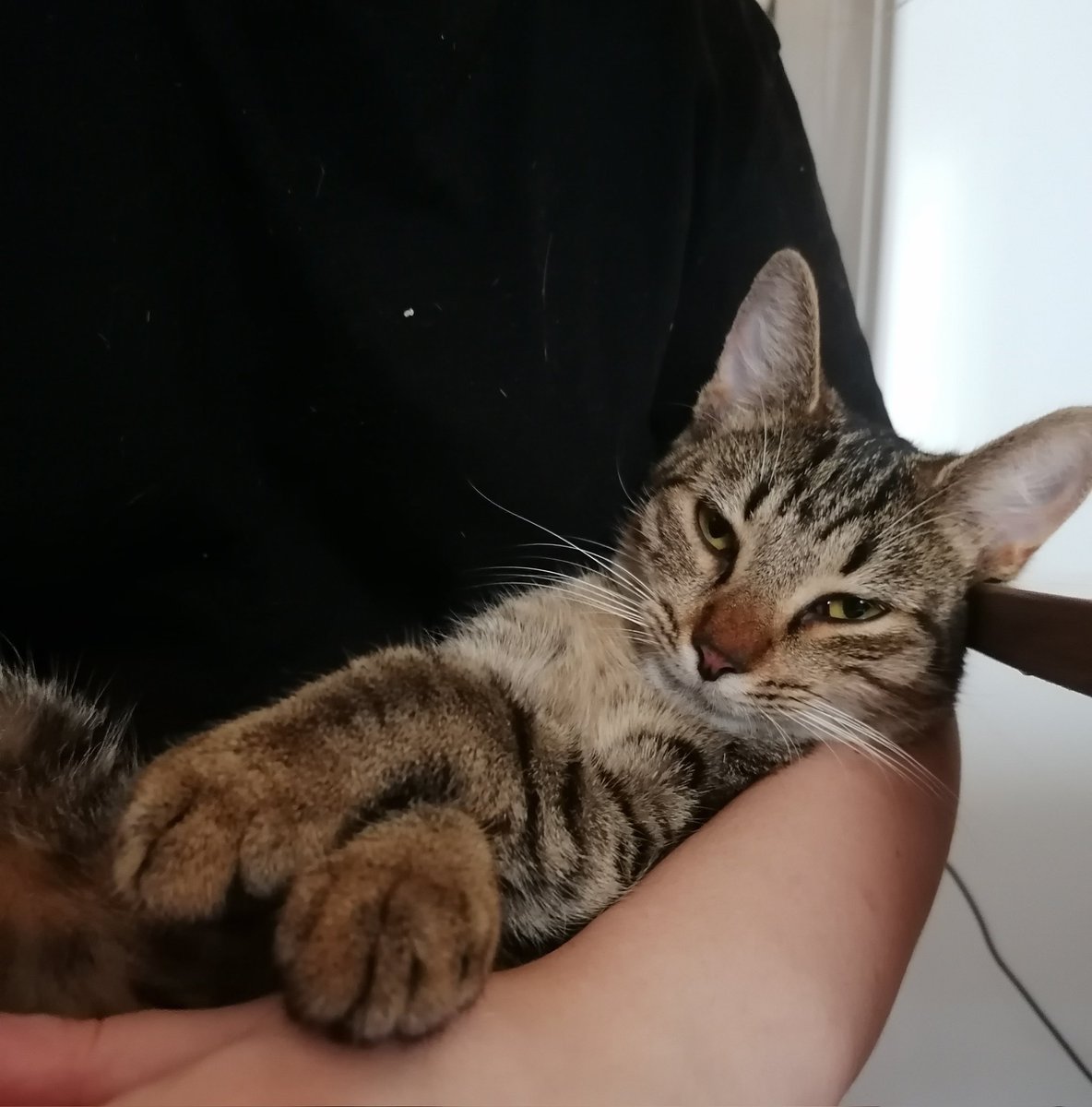 The Queen is in my arms