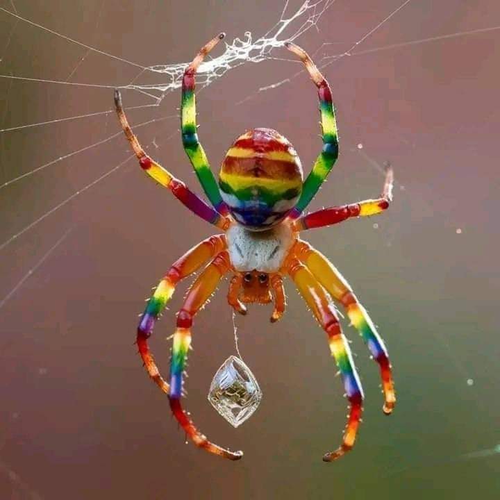 Mega atún tweet media