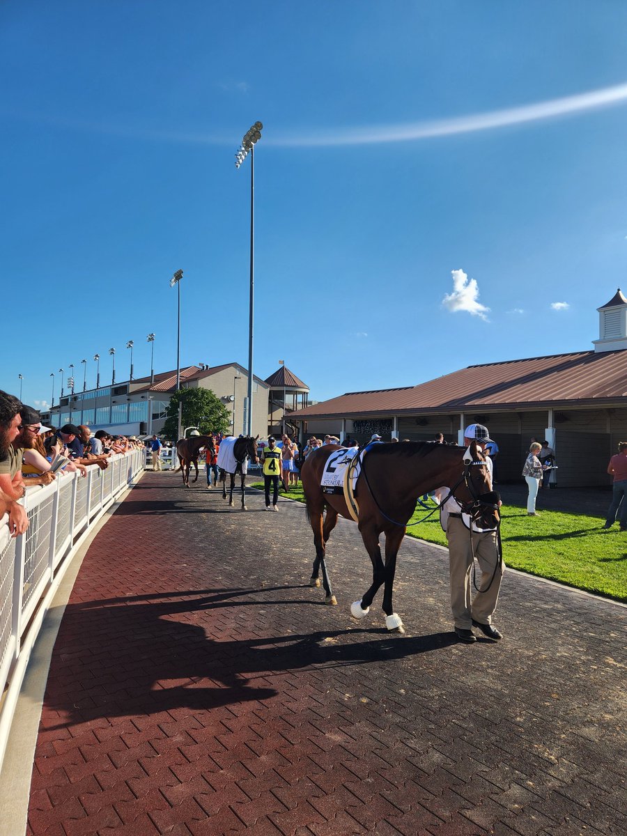 By far the most energized, enthusiastic, polished, fun, and well attended Indiana Derby as far as I could perceive. Job well done by the team, really  took the on track experience to another level this year <a href="/HSIndyRacing/">Horseshoe Indianapolis Race Course</a> <a href="/ericahalstrom/">Eric Halstrom</a> <a href="/RacingRachelM/">Rachel McLaughlin</a> 👏