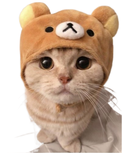 SweetieCTO's tweet photo. @probablytails Can't trust devs these days, CTOs are the WAY!  Ticker is  

$sweetie   

SWEETIE the cutest cat on the solana block chain!?    

ca - C2CQ3k2BpZbKW46FQB7dVArbVu6ofQ4bJ9TzZpyWpump https://t.co/axB6lzLQ3I