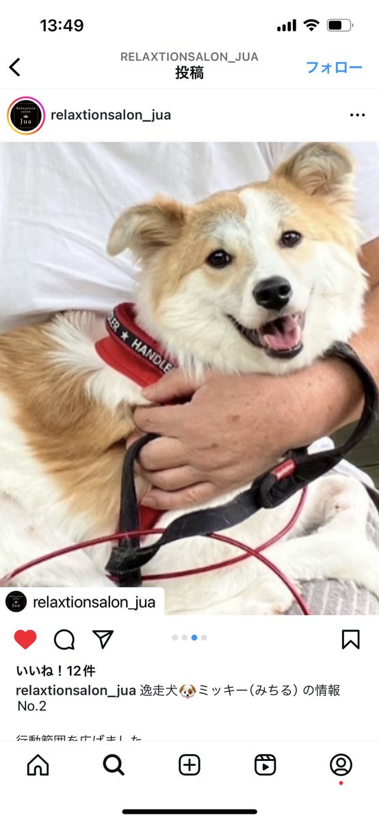 hydeharum1's tweet photo. #迷子犬
#茨城県　#守谷市
乙子、けやき台、美園付近にて迷子犬のようです。
自宅近く💦って言うより、行動範囲内💦 https://t.co/IZ7NTSLsSP