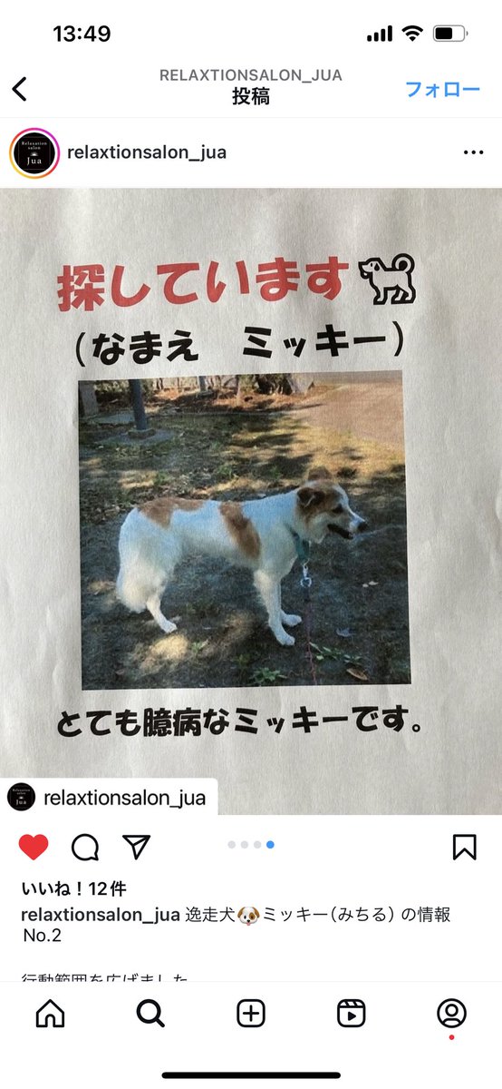hydeharum1's tweet photo. #迷子犬
#茨城県　#守谷市
乙子、けやき台、美園付近にて迷子犬のようです。
自宅近く💦って言うより、行動範囲内💦 https://t.co/IZ7NTSLsSP