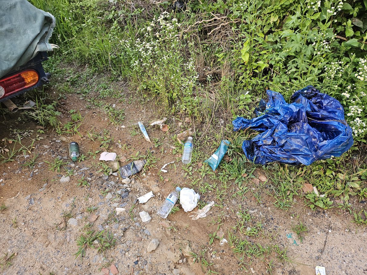 wen5835's tweet photo. #CleanUpChallege @cleanify_vet https://t.co/dvK9hIluin