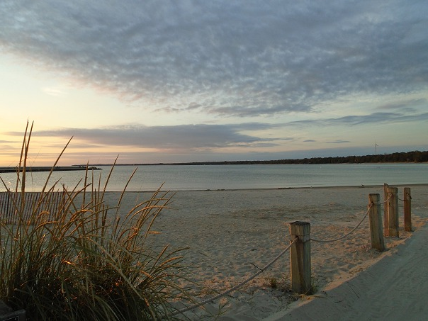 joshuaeeriksen's tweet photo. At the beach, using Tabata sprint protocol being 6 all out very hard intensity 250 yd pier to pier backstroke swims with 3 min rest periods in between each, can also be used for jump rope work, spar and jab boxing, or repeated with other forms of cardio too. #Revelation22:1 #domorefor2024 #fattofitnoquit #fightyoflight #fababs #icanucantoo #generationjoshua

@ https://t.co/KhXDiDpril