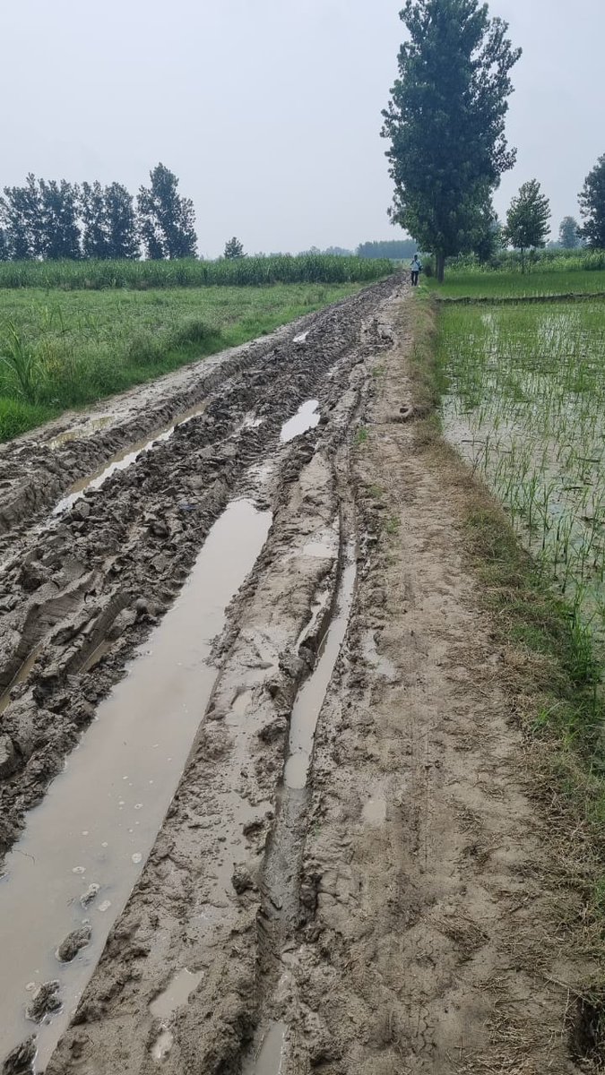 Priyanshu_UpPsS's tweet photo. #boycottऑनलाइनहाज़िरी
#BasicEducation
#UpBasicSchool
@Info_4Education
@basicshiksha_up
@myogiadityanath
@ChhaviKashi06 https://t.co/8hbXwqjd6d
