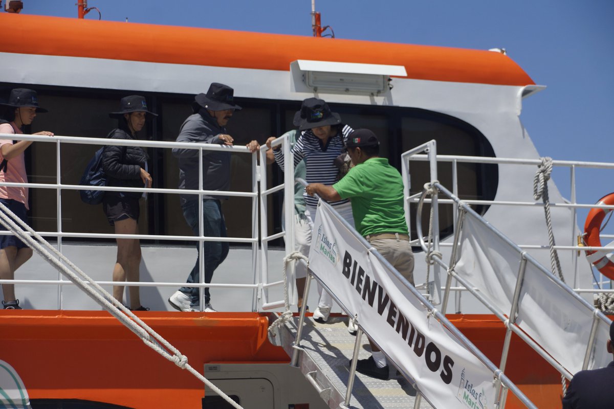 OnceNoticiasTV's tweet photo. #IslasMarías 🚢🏖️ | Así es como llega uno de los #ferrys lleno de #turistas provenientes del #puerto de #Mazatlán, #Sinaloa, dispuestos a pasar un fin de semana en el #ComplejoTurístico dirigido por la @SEMAR_mx
📸 @NestorZRomo
#OnceNoticias 🔻