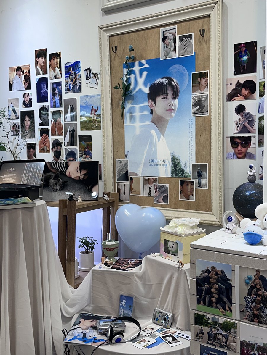둥이 tweet media