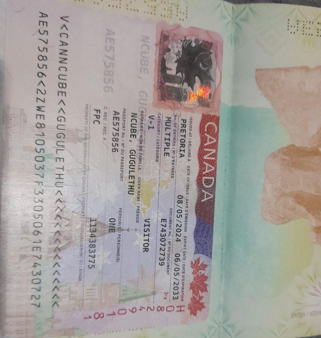 JoiceMujuru1's tweet photo. Those who thought @DrDelinquent_ is being attacked, NO she is not, she is making flimsy accusations again @edmnangagwa inorder to get permanent residence in Canada through seeking for political asylum hence her accusations. She will lie that her life is in danger. Anopenga uyo https://t.co/I2tVjN0GHw