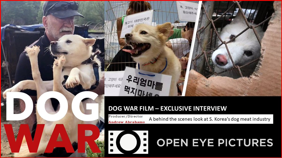 JadeAraa's tweet photo. #STOPYULINFOREVER #dogmeat 
Next July 21st -Stop Yulin Podcast presents @dogwarfilm  Exclusive interview with Andrew Abraham,  producer/director &amp; Jon Barocas of @K9GlobalRescue 
https://t.co/IYITyuDfwP https://t.co/WD6LOQeoRK