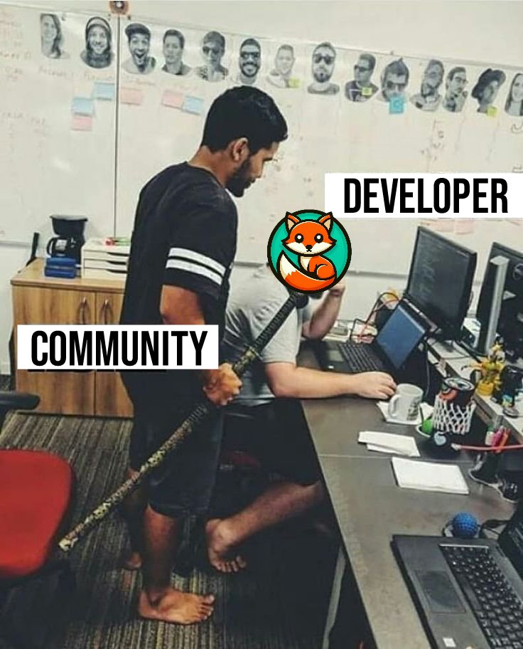 FLOX 🦊 tweet media