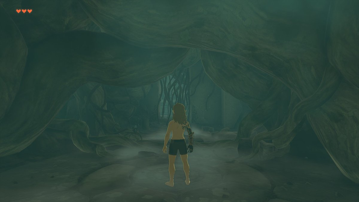 WastedDeadSoul's tweet photo. Waking up in another cave

#gaming #videogames #legendofzelda #thelegendofzelda #tearsofthekingdom #nintendoswitch #zelda https://t.co/HIIq0vn6fs