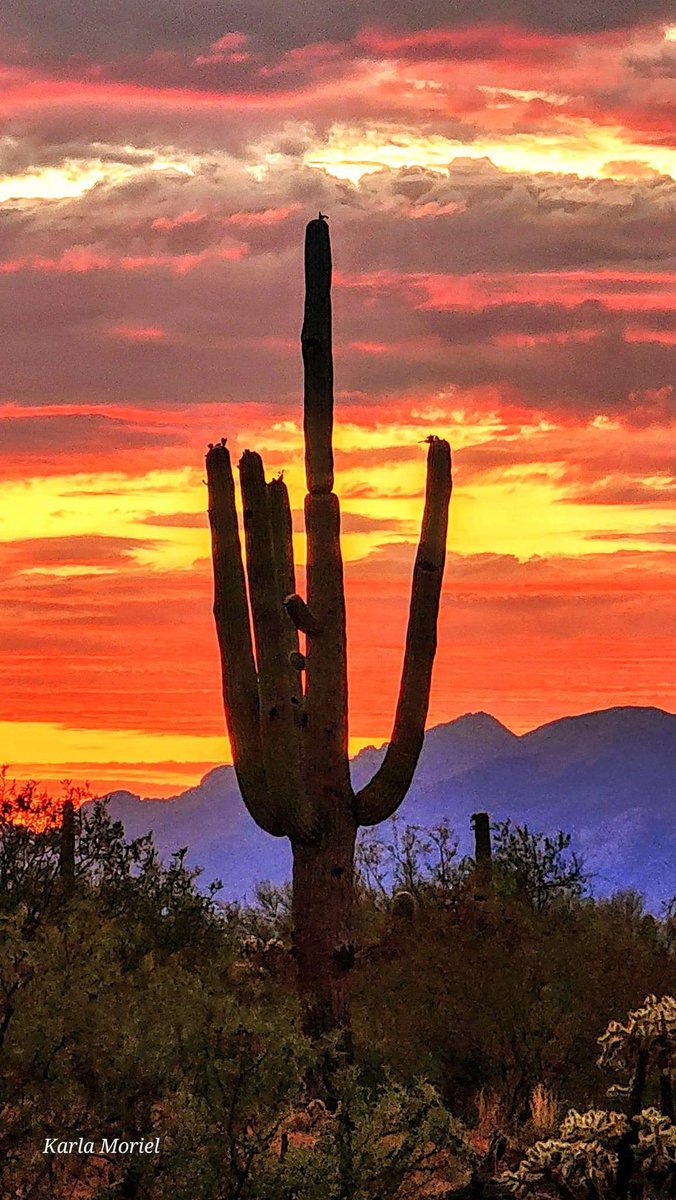 zadokq244514's tweet photo. The Arizona flag compared to an Arizona sunset…
#statefortyeight #Arizona #SunsetxVibes https://t.co/P0e7SOhfq8