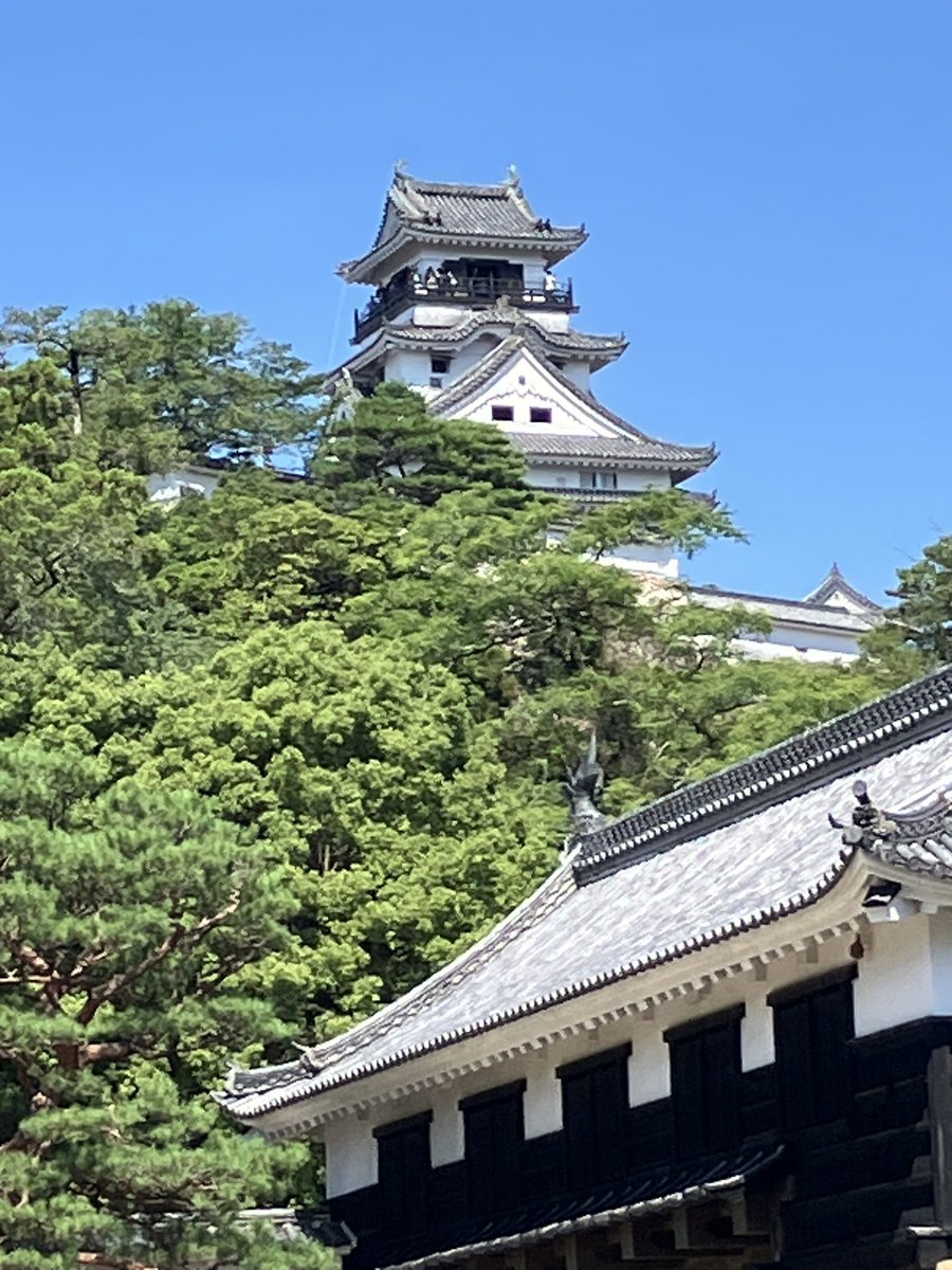 Otty_Aerospace's tweet photo. 高知の日曜市きたら城🏯ありました！
梅ソーダ最高 https://t.co/yflEEc0buw