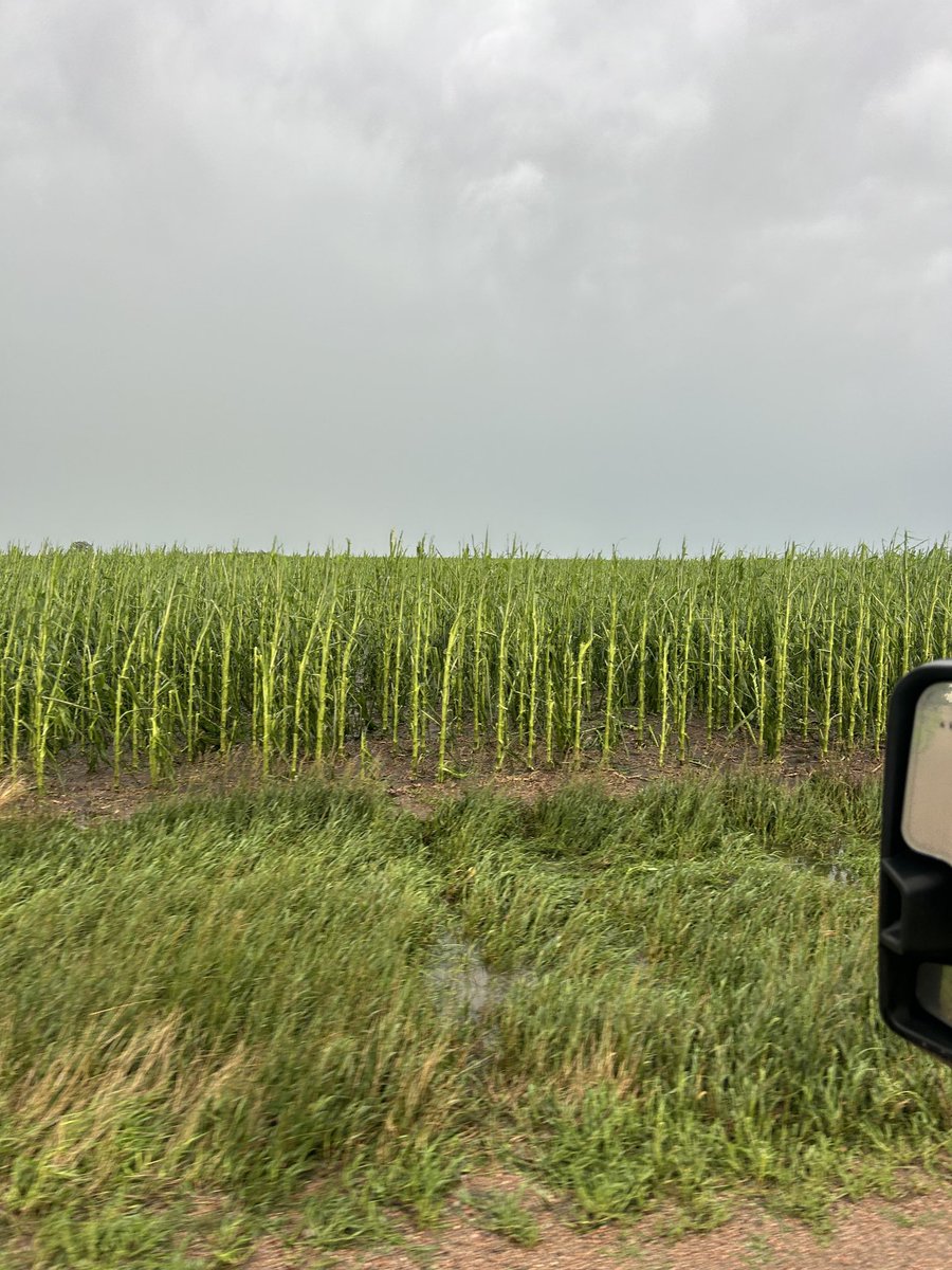 dane_chad's tweet image. 12 out of last 13 years. First week of July is a killer.