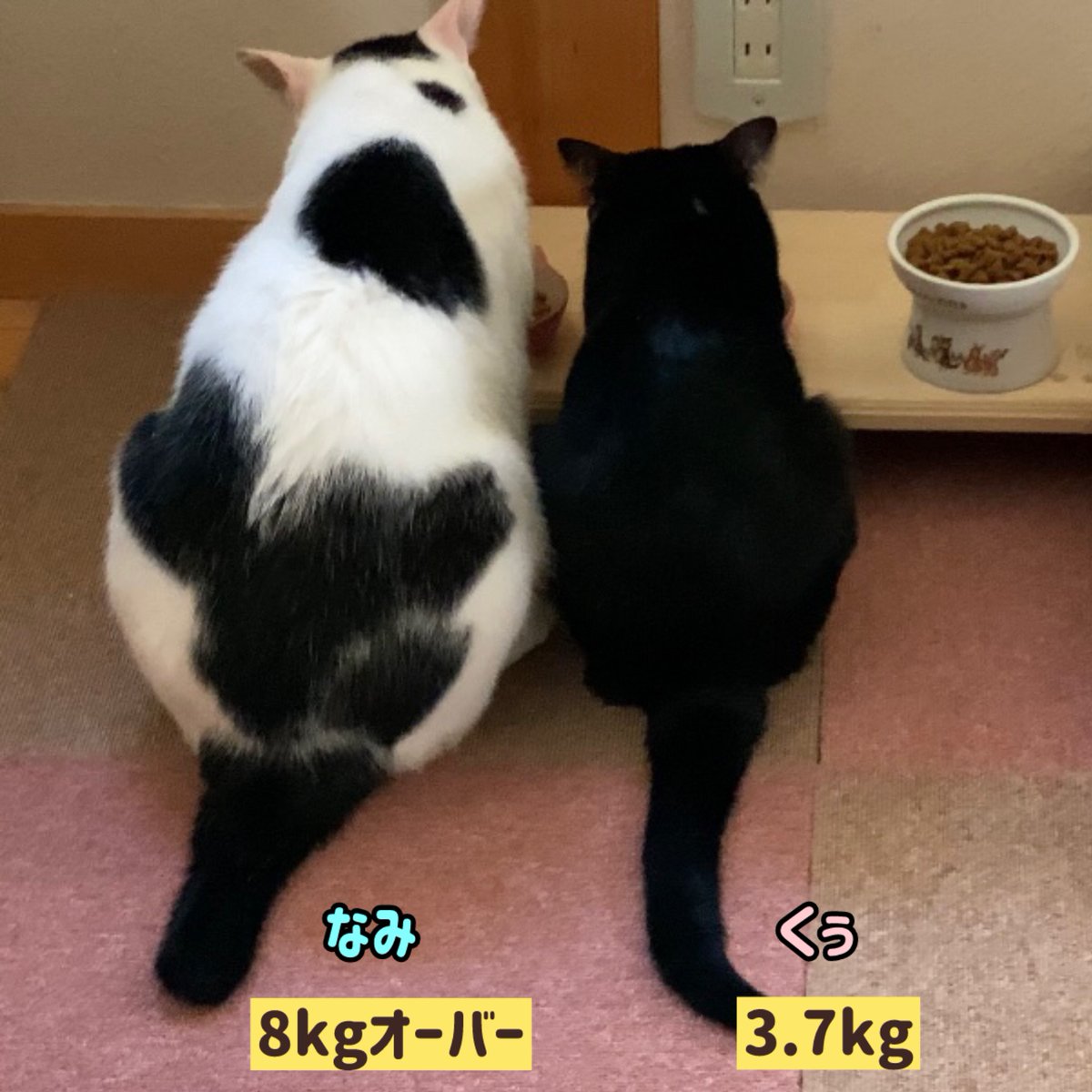 くぅさま確認ページ♡ zutto_烧烤垃圾桶(@zhxy111059) / Posts / X