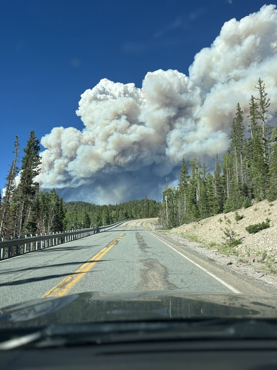 Matthew Williams tweet media