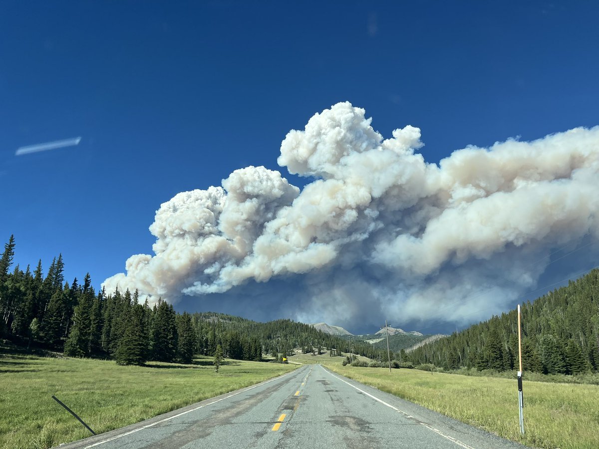 Matthew Williams tweet media