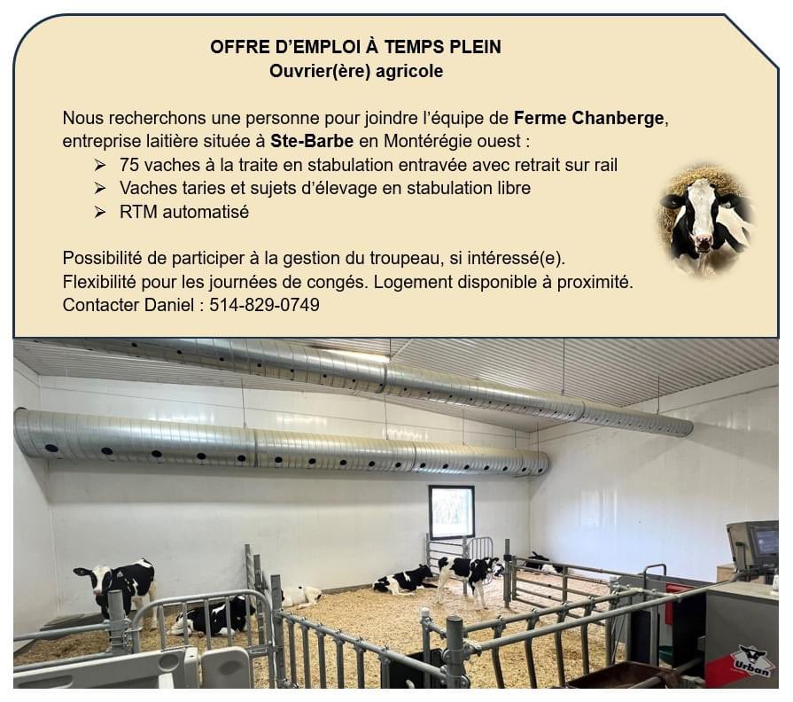 Steve Adam, agr. (@steveadam4) on Twitter photo 