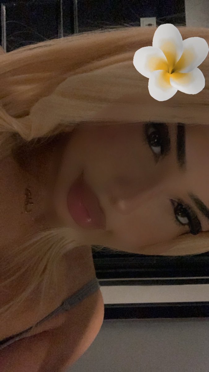🎀 tweet media