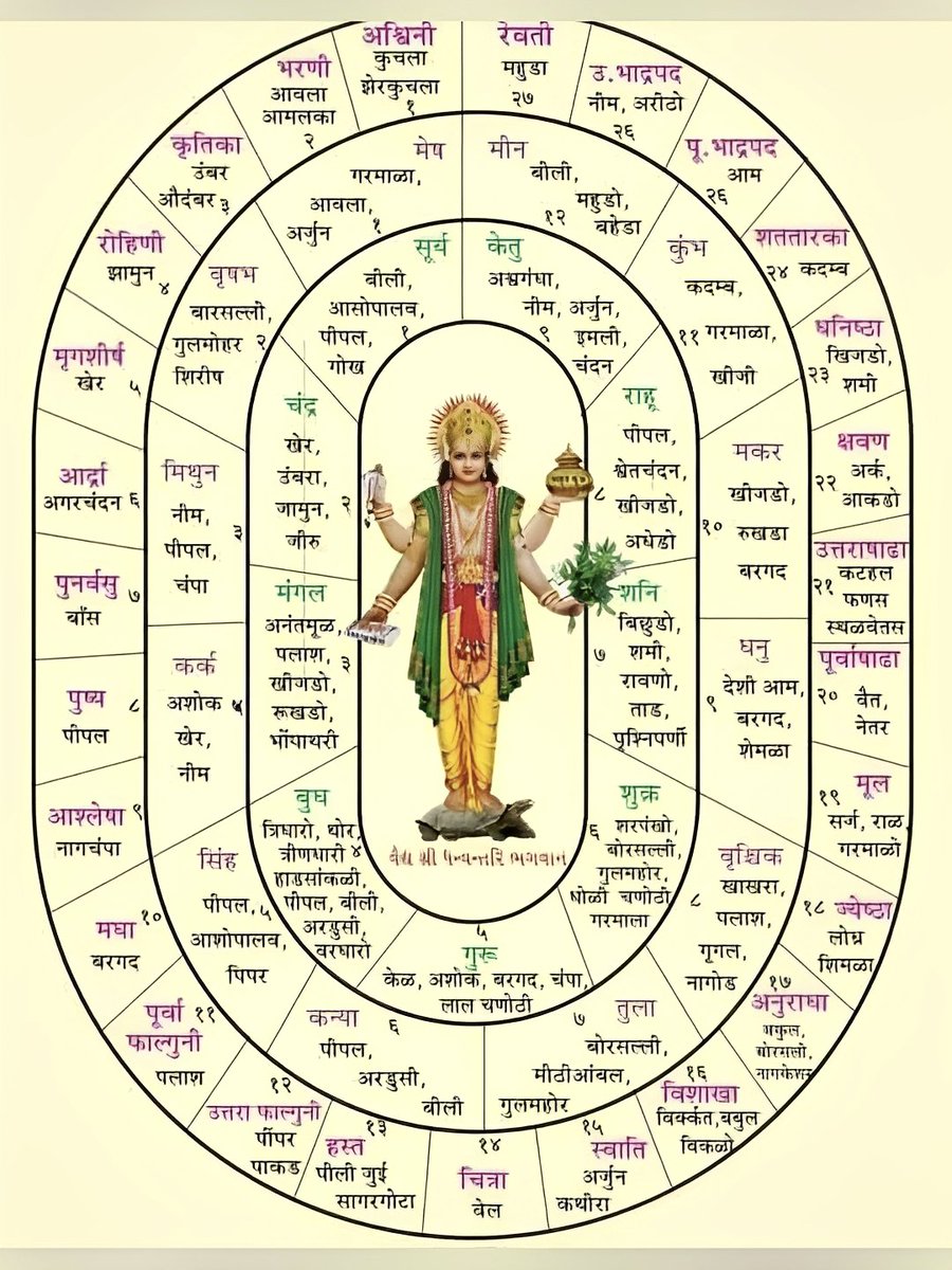 JitendraEci's tweet image. कितना महान है हमारा सनातन धर्म। नमन है हमारे ऋषि मुनियों को 🙏 🚩

इस फ़ोटो के चारों ओर तीन घेरे बने हुए हैं। जो सबसे पहला घेरा है उसमें 27 नक्षत्रों के नाम हैं और उनके पौधों के भी नाम साथ में लिखे हुए हैं। 

दूसरे घेरे में 12 राशियों के नाम लिखे हैं और साथ में उनके पौधों के नाम…