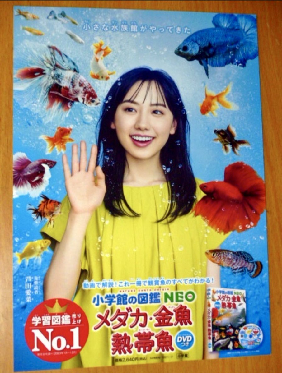 今回も無事にNEO愛菜ちゃんのポスターとポップをゲット出来ました
